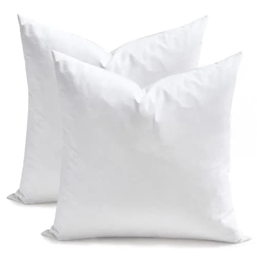 TOPGREEN Pillow Inserts 16x16 | Down & Feather Loft, Pack of 2, White - main product image