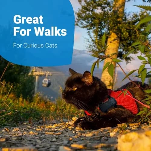Tractive GPS Cat 4 Tracker Harness Attachment | Velcro Straps, Black, for Cat Walks thumbnail 5