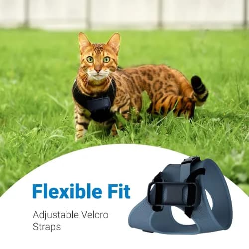 Tractive GPS Cat 4 Tracker Harness Attachment | Velcro Straps, Black, for Cat Walks thumbnail 3