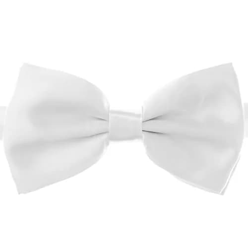 Alex Palaus Collection White Bow Tie | Pre Tied, Adjustable, Satin Finish (One Size, Unisex) thumbnail 1