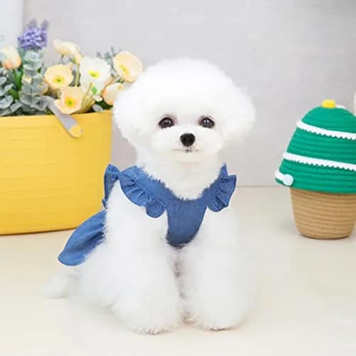 Izefia Dog Dress Puppy Luxury Skirt Clothes XL | Elegant Denim & Cotton for Small Dogs thumbnail 4