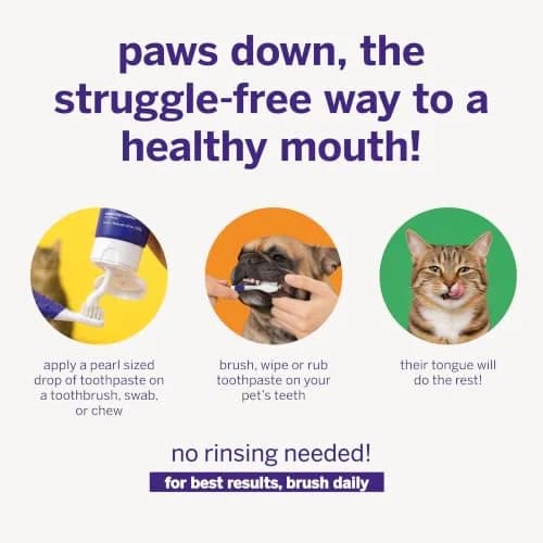 Petsmile VOHC Accepted Toothpaste Rotisserie Chicken 74g (2.5 Oz) | Vet-Approved Pet Dental Care for Dogs & Cats thumbnail 4