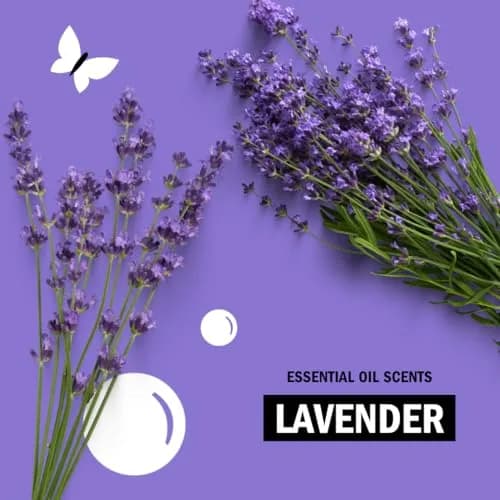 Molly's Suds Original Laundry Detergent Powder Lavender Scent 79 oz (2.24 kg) | Gentle Formula for Sensitive Skin thumbnail 6