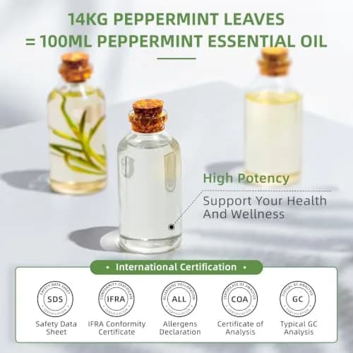 HIQILI Peppermint Essential Oil 473ml (16 Fl Oz) | USA-Sourced for Air Freshening, DIY & Aromatherapy thumbnail 4