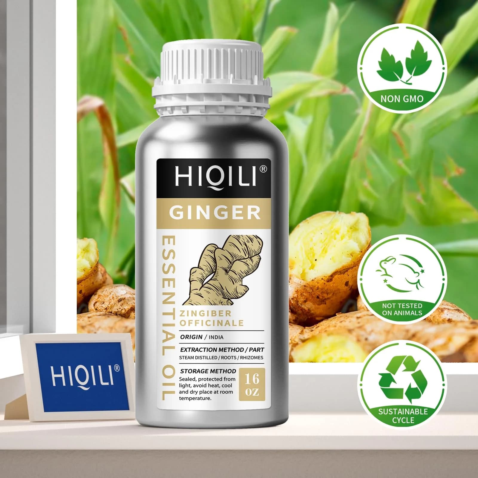 HIQILI Ginger Essential Oil 475ml (16 Fl Oz) | Pure Natural Oil for Hair, Massage & Skin - view 4