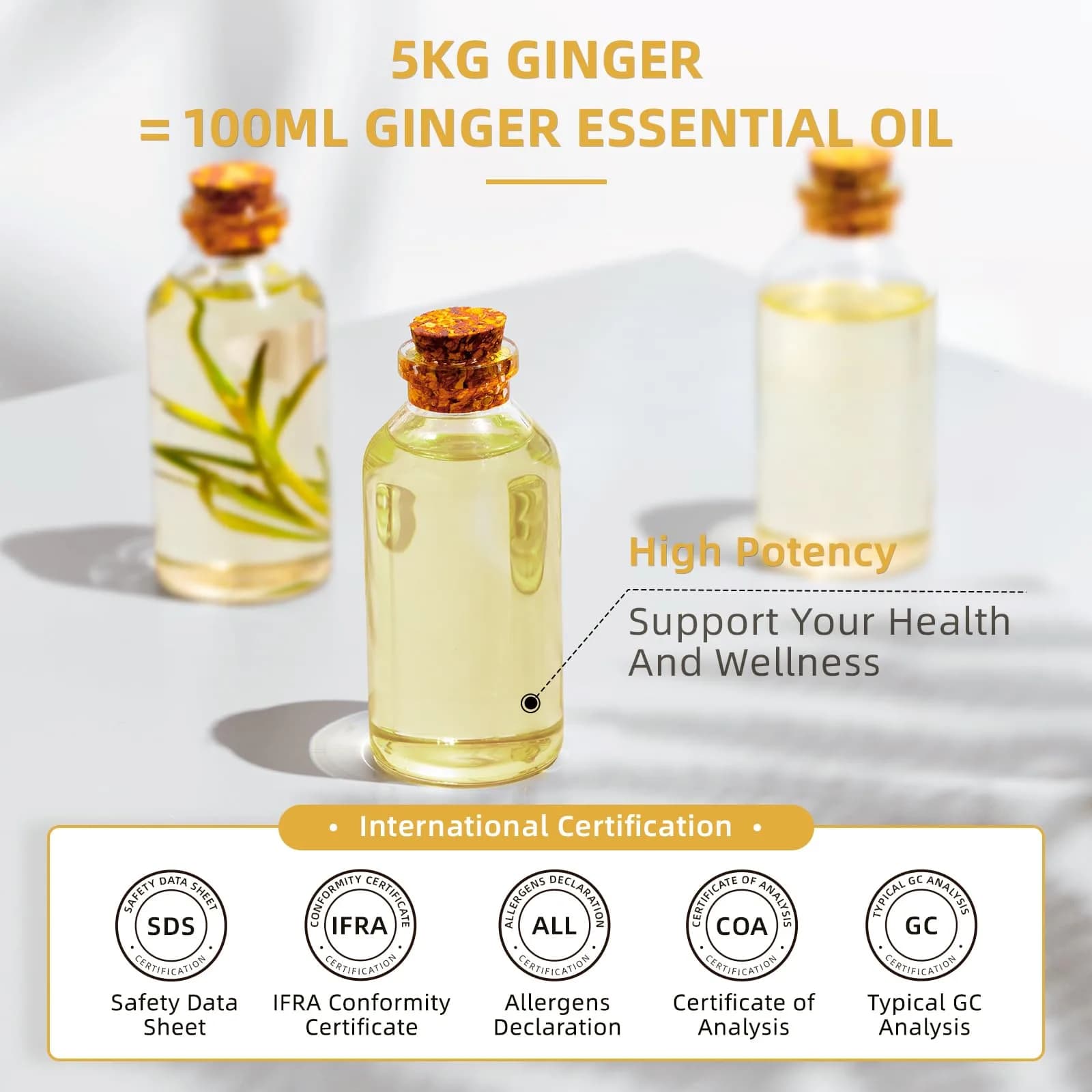 HIQILI Ginger Essential Oil 475ml (16 Fl Oz) | Pure Natural Oil for Hair, Massage & Skin - view 8