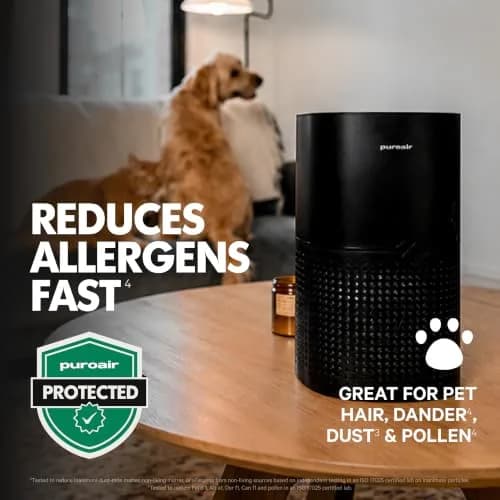 PuroAir 240 HEPA Air Purifiers for Home Pets Bedroom | Large Room 1000 sq ft, 2 Pack, Quiet & Certified thumbnail 5