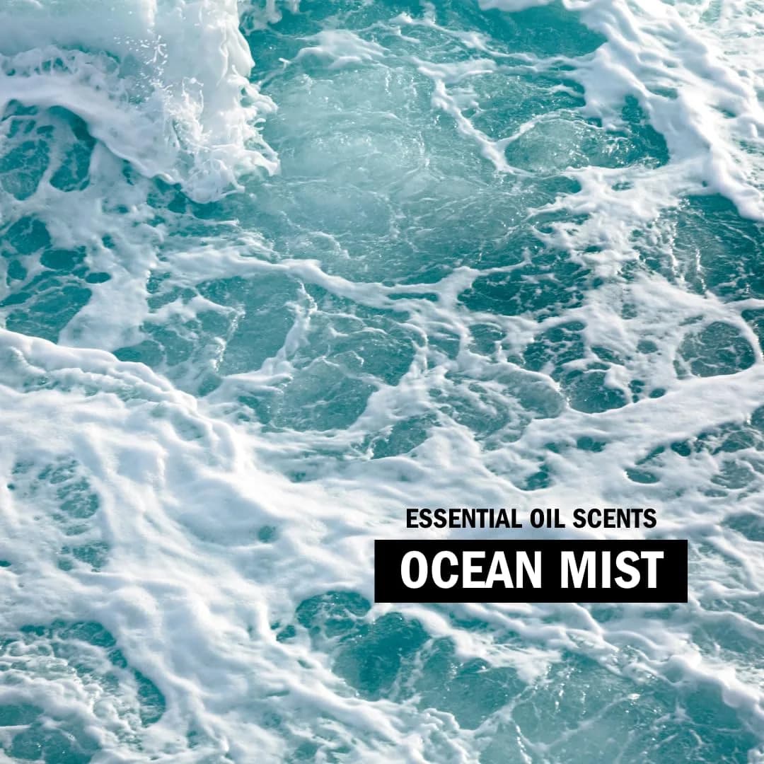 Molly's Suds Liquid Laundry Detergent Ocean Mist Concentrated HE Formula | Simple Ingredients for Sensitive Skin - view 6