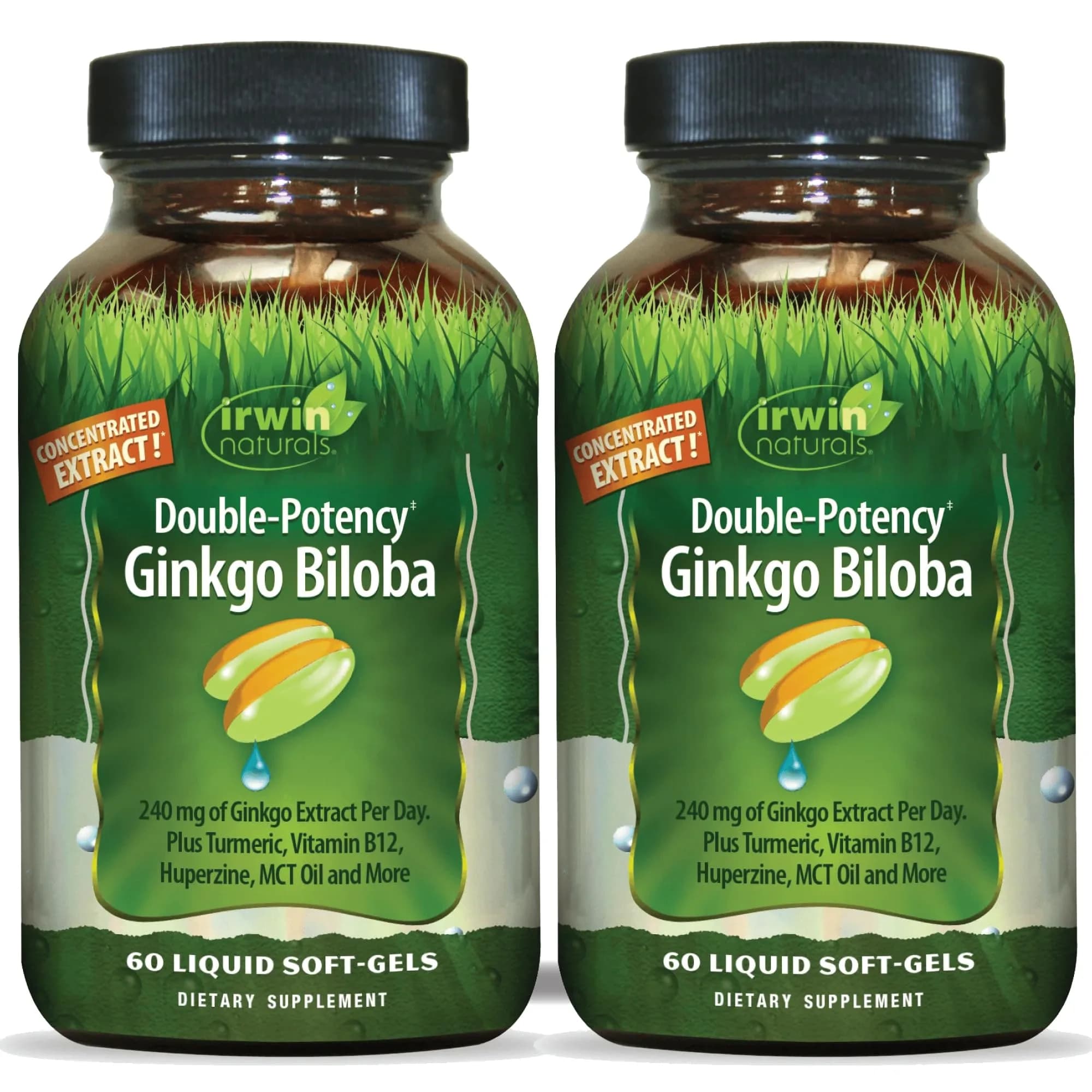 Irwin Naturals Double-Potency Ginkgo Biloba 120 Liquid Soft-Gels | Supports Memory & Brain Wellness — Softgel