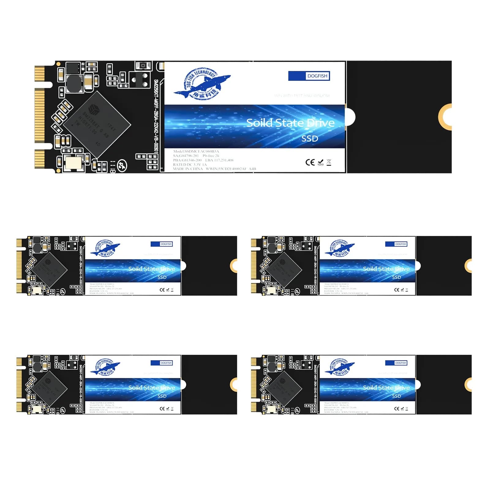 THREE COLOUR DOGFISH M.2 SSD 64GB (5-Pack) | SATA III 6 Gb/s Internal Solid State Drive for Desktop PC Laptop - main product image