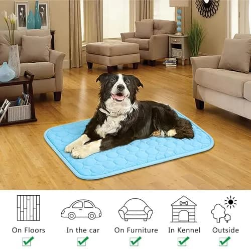 dgdgbaby Portable Dog Cooling Mat 40 x 28 in | Self-Cooling, Washable, Summer Relief thumbnail 8