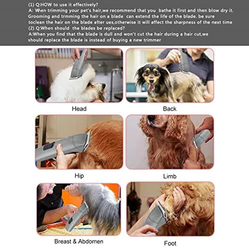 Audoc 5FC Blade Dog Grooming Clipper Blades | Compatible with Andis Dog Clipper, Ceramic & Stainless Steel, 6.3mm Cut thumbnail 7