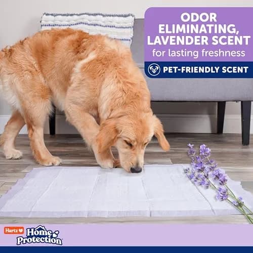 Hartz Dog Pads 3XL | Super Absorbent Odor Eliminating Lavender Scented No Leak (36 x 36 in, 14 Count) thumbnail 6