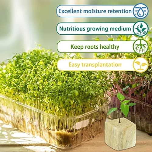 Legigo 1.2 Inch Rockwool Cubes Seed Starter Plugs 144 Count | Hydroponics & Soilless Gardening thumbnail 3