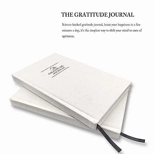 GOSSIP FOX Gratitude Journal for Happiness, Optimism & Reflection - Undated Daily Planner 15.2 x 21.3 cm (6 x 8.4 inches) thumbnail 3