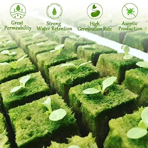 Legigo 1.2 Inch Rockwool Cubes Seed Starter Plugs 144 Count | Hydroponics & Soilless Gardening thumbnail 5