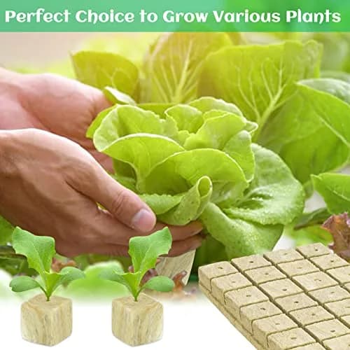 Legigo 1.2 Inch Rockwool Cubes Seed Starter Plugs 144 Count | Hydroponics & Soilless Gardening thumbnail 6