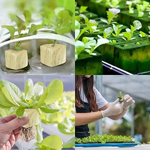 Legigo 1.2 Inch Rockwool Cubes Seed Starter Plugs 144 Count | Hydroponics & Soilless Gardening thumbnail 7