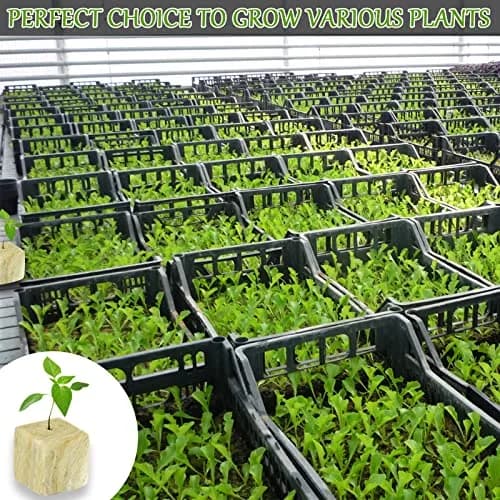 Legigo 1.2 Inch Rockwool Cubes Seed Starter Plugs 144 Count | Hydroponics & Soilless Gardening thumbnail 8