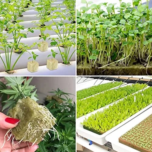 Legigo 1.2 Inch Rockwool Cubes Seed Starter Plugs 144 Count | Hydroponics & Soilless Gardening thumbnail 9