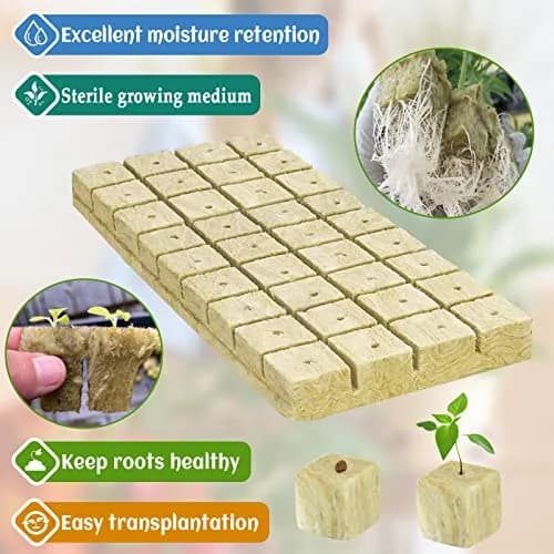 Legigo 1.2 Inch Rockwool Cubes Seed Starter Plugs 144 Count | Hydroponics & Soilless Gardening thumbnail 3