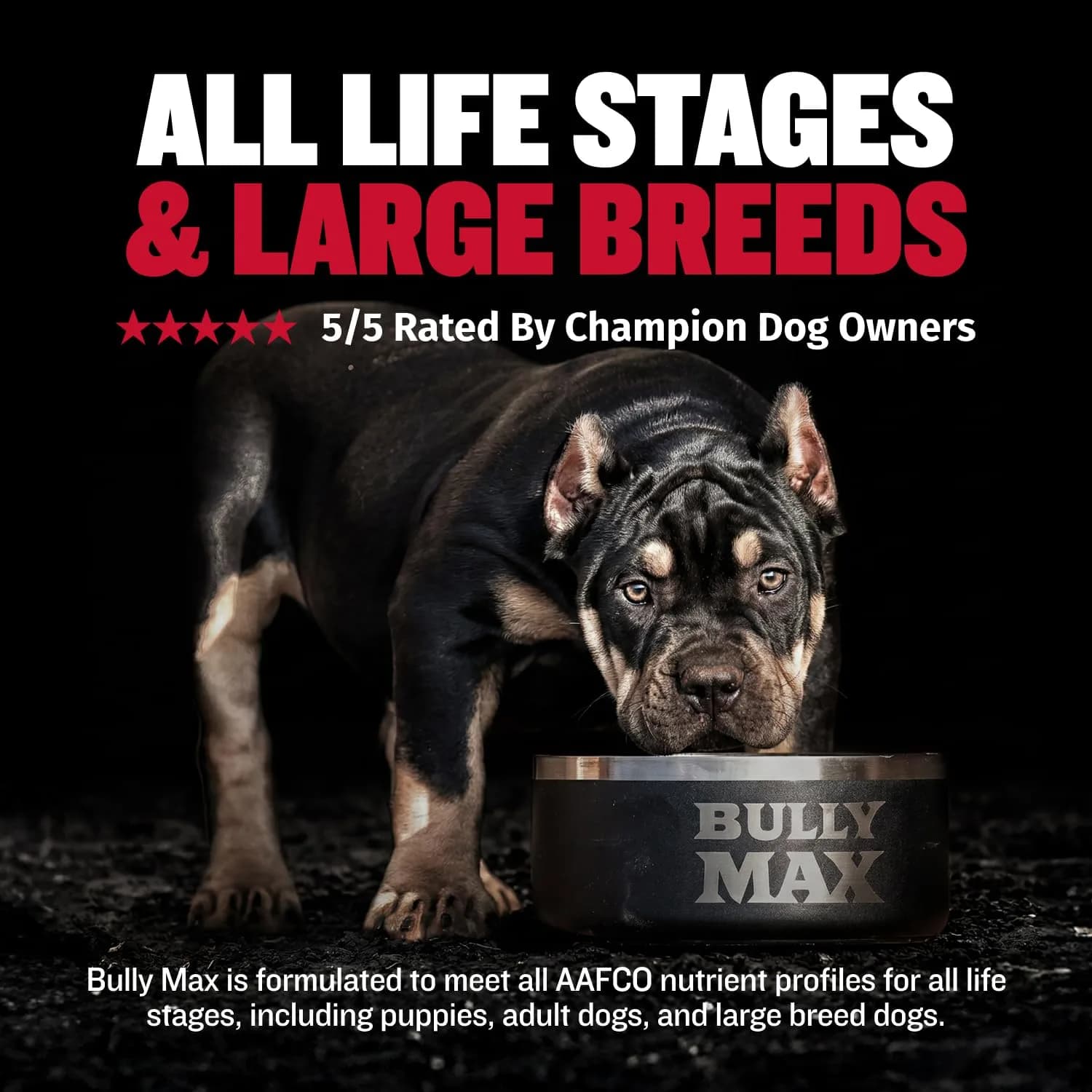 Bully Max 2-in-1 Muscle Builder for Dogs - 30 Chewable Tablets | Vet-Endorsed Dog Multivitamin for Muscle Gain & Growth - view 4