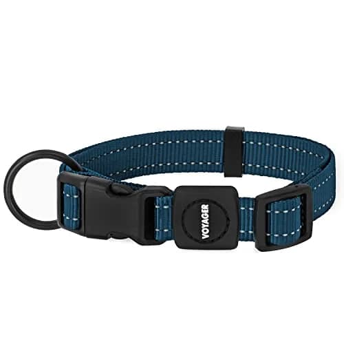 Best Pet Supplies Voyager Reflective Dog Collar with Neoprene Handle | Heavy Duty, Adjustable, Night Visibility, Blue, S thumbnail 1