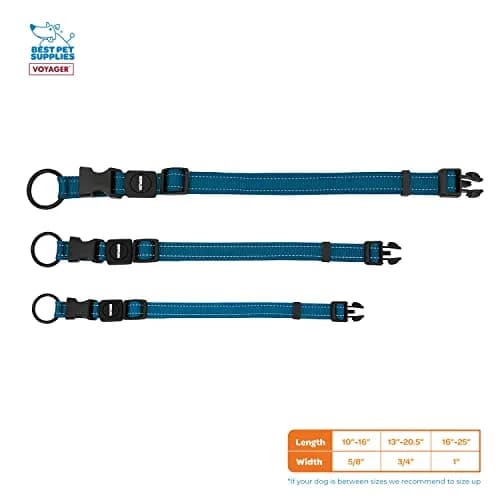 Best Pet Supplies Voyager Reflective Dog Collar with Neoprene Handle | Heavy Duty, Adjustable, Night Visibility, Blue, S thumbnail 4