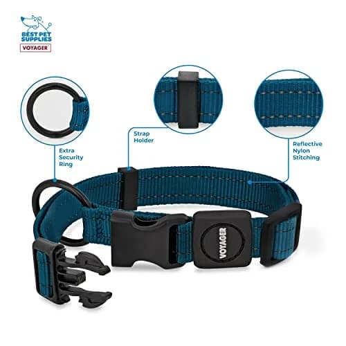 Best Pet Supplies Voyager Reflective Dog Collar with Neoprene Handle | Heavy Duty, Adjustable, Night Visibility, Blue, S thumbnail 2