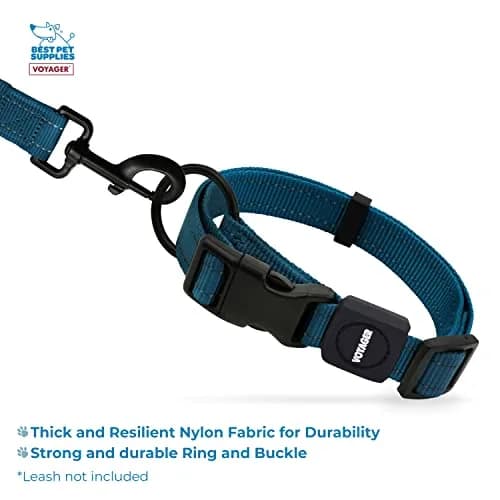 Best Pet Supplies Voyager Reflective Dog Collar with Neoprene Handle | Heavy Duty, Adjustable, Night Visibility, Blue, S thumbnail 3