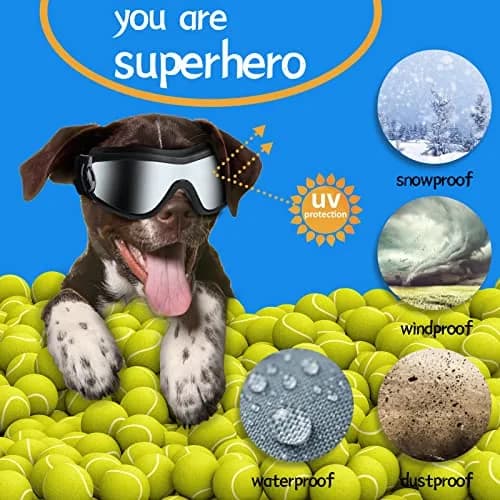 NVTED Dog Sunglasses Dog Goggles Pack of 2 | UV Protection Wind Dust Fog Protection Pet Glasses Eye Wear thumbnail 6