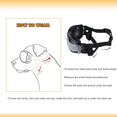 NVTED Dog Sunglasses Dog Goggles Pack of 2 | UV Protection Wind Dust Fog Protection Pet Glasses Eye Wear thumbnail 3