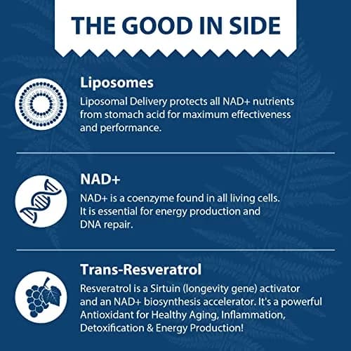 Lepoznan Liposomal NAD+ 500 mg + Trans-Resveratrol 300 mg | Superior Absorption for Healthy Aging thumbnail 4