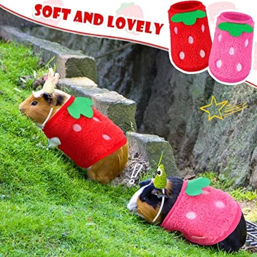 Mixweer Guinea Pig Accessories 2 Mini Hats & 2 Clothes | Adjustable Strap, Cozy & Cute (70-120 chars) thumbnail 7