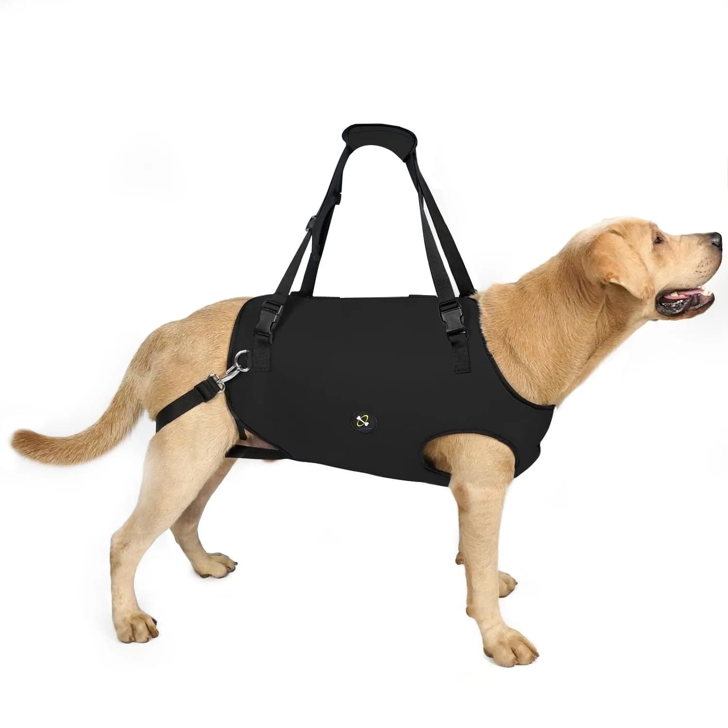 Coodeo Dog Lift Harness Black XS | Professional Support for Old & Disabled Dogs — Black / XXLarge