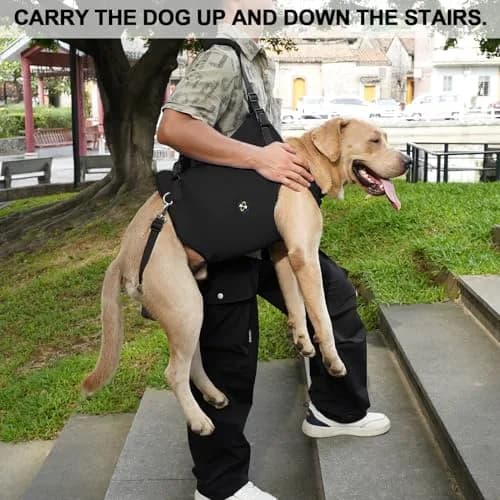 Coodeo Dog Lift Harness XL Black | Adjustable Padded Support Sling for Old, Disabled, Injured Dogs thumbnail 4