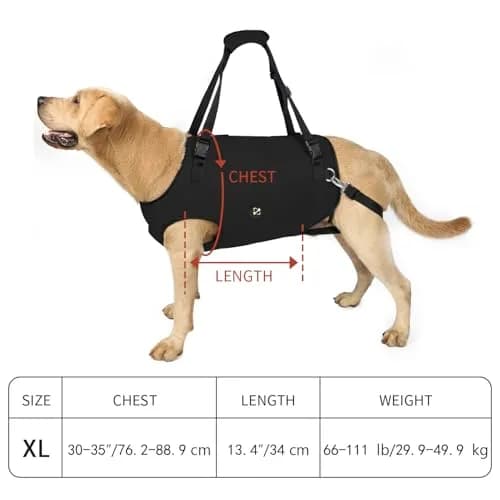 Coodeo Dog Lift Harness XL Black | Adjustable Padded Support Sling for Old, Disabled, Injured Dogs thumbnail 5