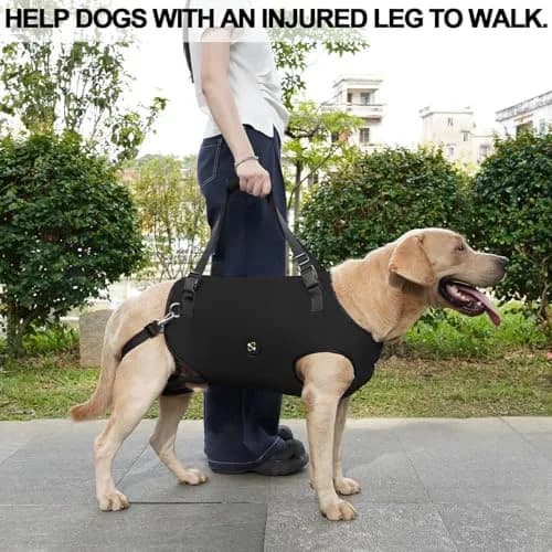 Coodeo Dog Lift Harness XL Black | Adjustable Padded Support Sling for Old, Disabled, Injured Dogs thumbnail 7