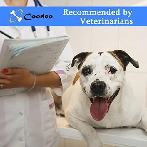 Coodeo Dog Lift Harness XL Black | Adjustable Padded Support Sling for Old, Disabled, Injured Dogs thumbnail 3
