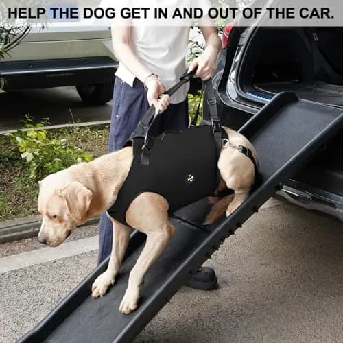 Coodeo Dog Lift Harness for Old & Disabled Dogs, Medium Black, 0.23 kg (0.51 lb) | Rehabilitation Sling with Adjustable Straps thumbnail 5