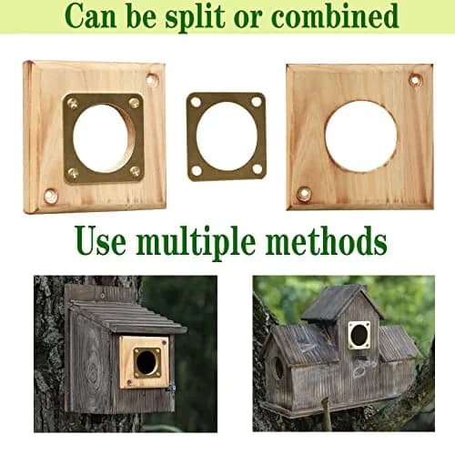 Cloud Fragrant Birdhouse Predator Guard 3.5" x 3.5" | Durable Wooden Hole Protector for Eastern Bluebird (70-120 chars) thumbnail 7