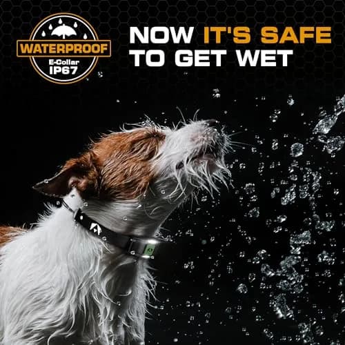 INVIROX Dog Training Collar with Remote, 123 Levels, 1100ft Range, IP67 Waterproof, Green Spark thumbnail 5