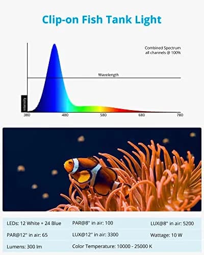 NICREW Clip-on Marine Aquarium Light for Coral Reef Tank | 10W LED, Blue & White Spectrum, Adjustable Brightness thumbnail 6