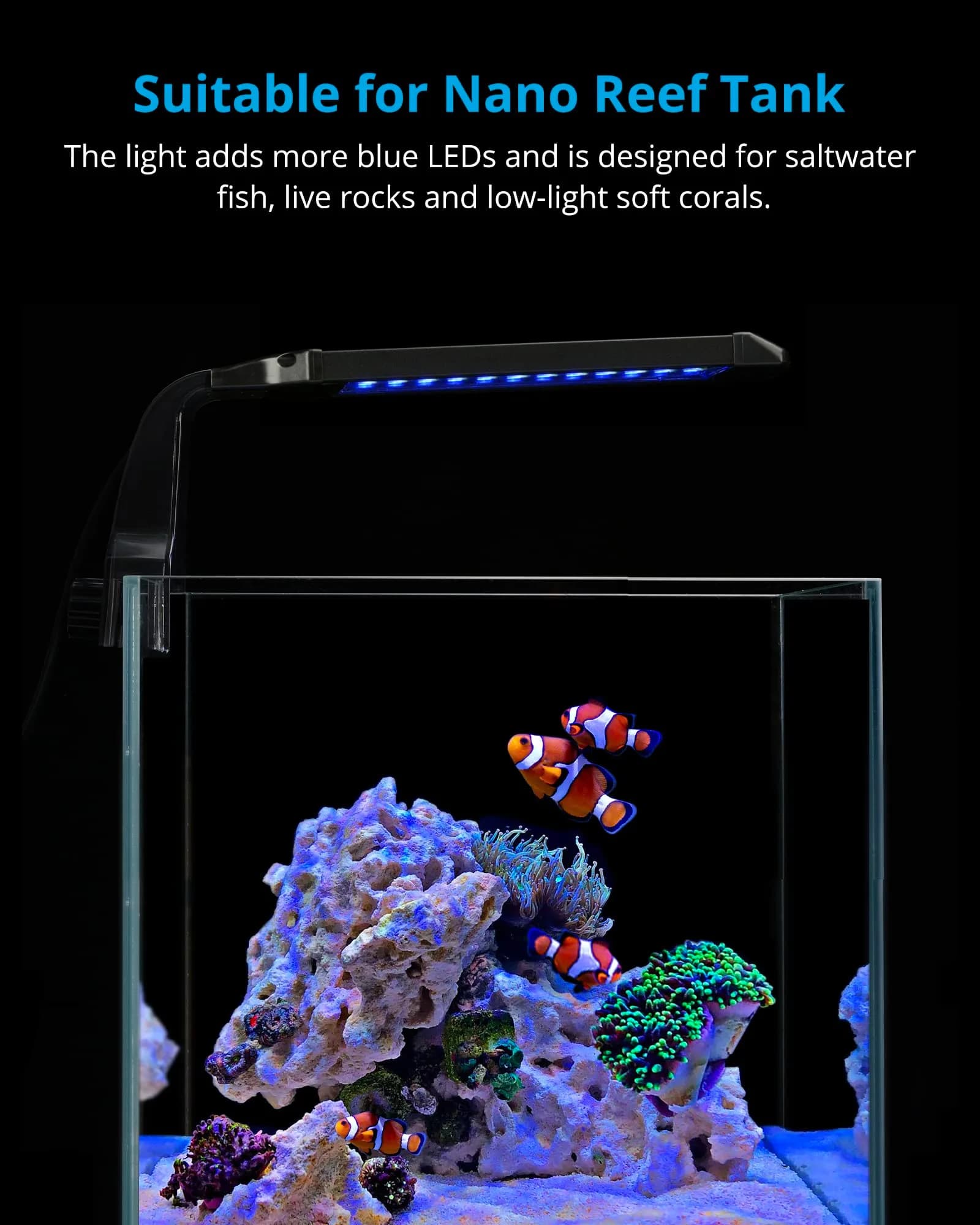 NICREW Clip-on Marine Aquarium Light for Coral Reef Tank | 10W LED, Blue & White Spectrum, Adjustable Brightness - view 2