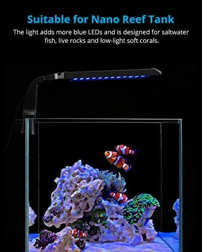 NICREW Clip-on Marine Aquarium Light for Coral Reef Tank | 10W LED, Blue & White Spectrum, Adjustable Brightness thumbnail 2