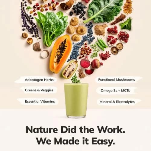 Ka’Chava Whole Body Meal Shake Matcha 15 Servings | Vegan Plant-Based Meal Replacement with 85+ Superfoods & Greens thumbnail 5