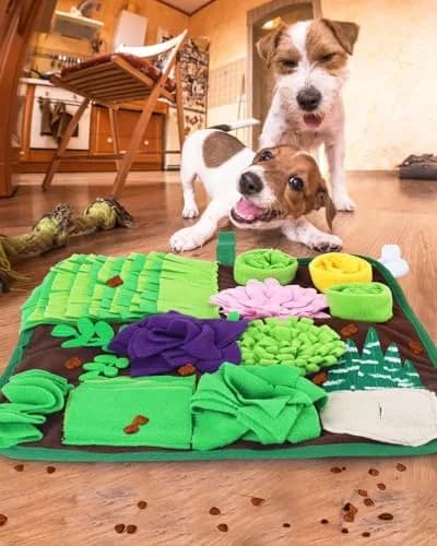 CiyvoLyeen Snuffle Mat for Dogs and Cats 16.5" x 16.5" | Slow Eating & Stress Relief Pet Toy thumbnail 6