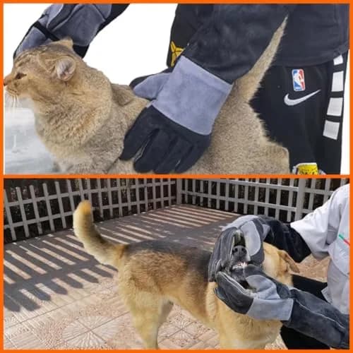WZQH 23.6 Inch Animal Handling & Welding Gloves, Bite Proof Leather with Kevlar Stitching, XL (Black) thumbnail 4