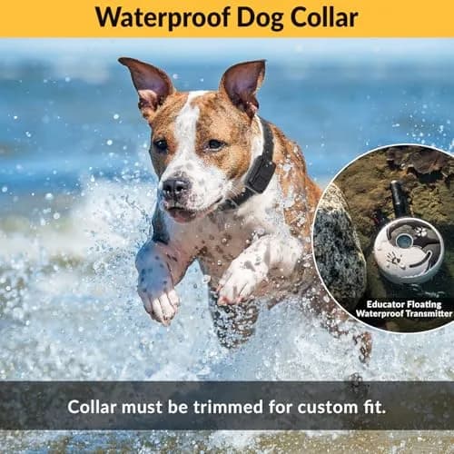 Mini Educator E-Collar Zen-302 2 Dog System | 1/2 Mile Range, Humane Vibration & Tone thumbnail 5