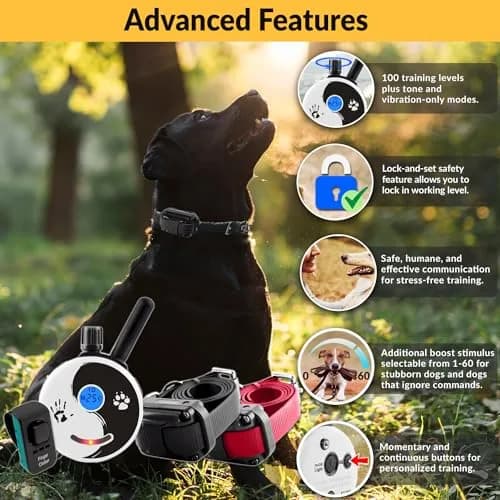 Mini Educator E-Collar Zen-302 2 Dog System | 1/2 Mile Range, Humane Vibration & Tone thumbnail 2